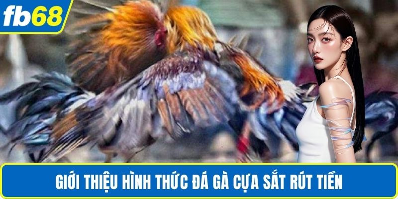 Đá Gà Cựa Sắt Rút Tiền – Trải Nghiệm Sân Chơi Minh Bạch 2 Giới thiệu hình thức đá gà cựa sắt rút tiền