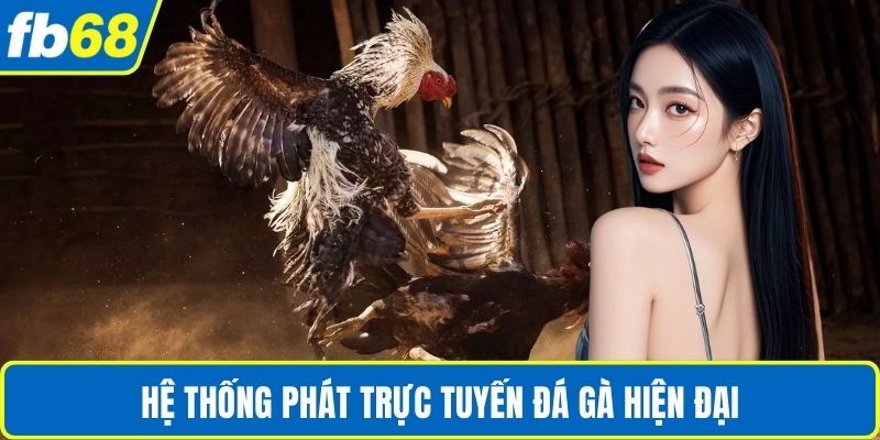 Đá Gà Campuchia Uy Tín – Trải Nghiệm Đấu Trường Đỉnh Cao 3 Hệ thống phát trực tuyến đá gà hiện đại