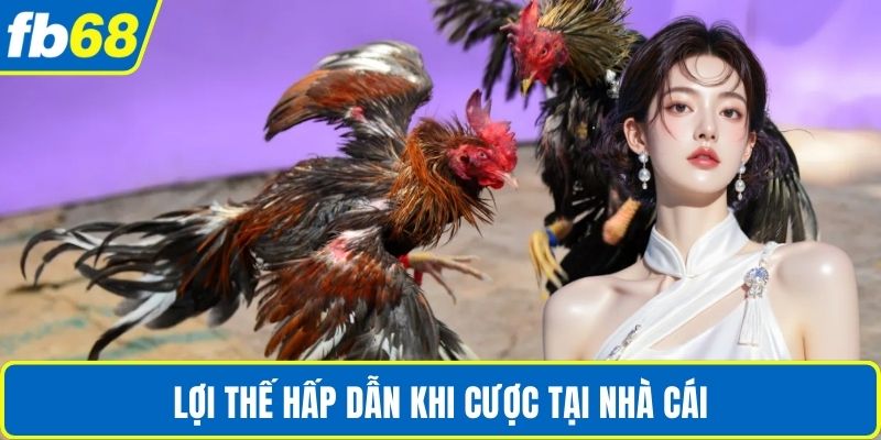 Lợi thế hấp dẫn khi cược tại nhà cái