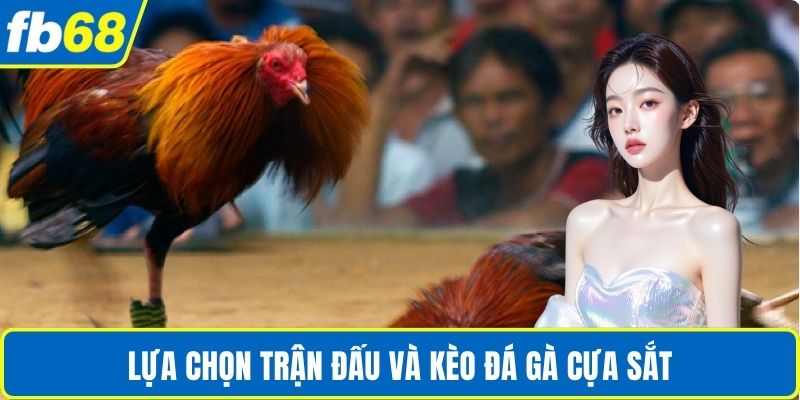Đá Gà Cựa Sắt Rút Tiền – Trải Nghiệm Sân Chơi Minh Bạch 3 Lựa chọn trận đấu và kèo đá gà cựa sắt
