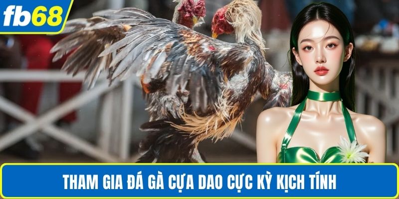 Tham gia đá gà cựa dao cực kỳ kịch tính