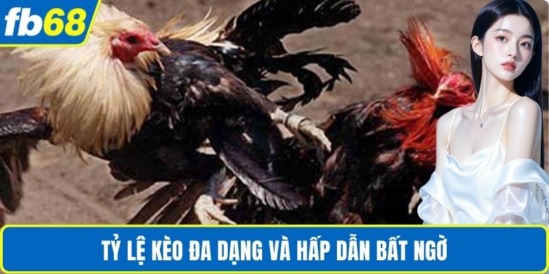 Đá Gà Thomo Online – Sân Chơi Cá Cược Uy Tín Tại FB68 3 Tỷ lệ kèo đa dạng và hấp dẫn bất ngờ